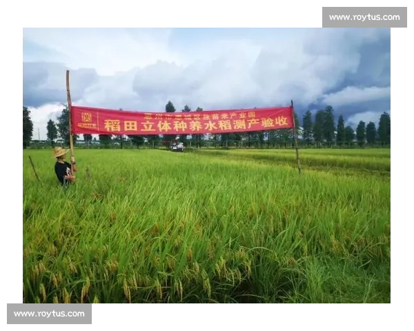 打造体育比赛绿色直播新生态助力健康观赛体验升级引领行业高质量发展